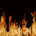 fire.gif